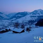 Vista