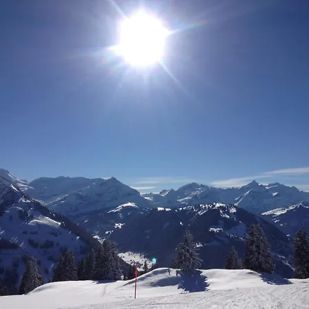 Vista Albergue *