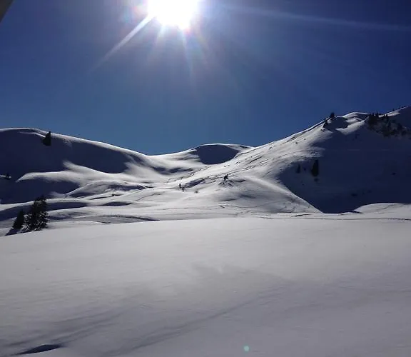 אכסניה Vista *