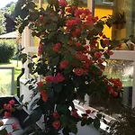 Hostel Vista
