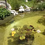 Vista * Zweisimmen