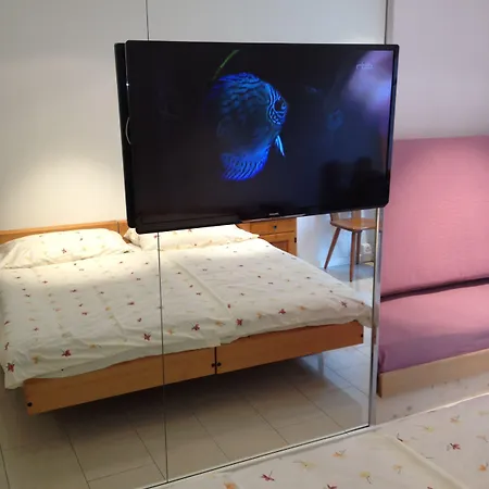 Hostel Vista
