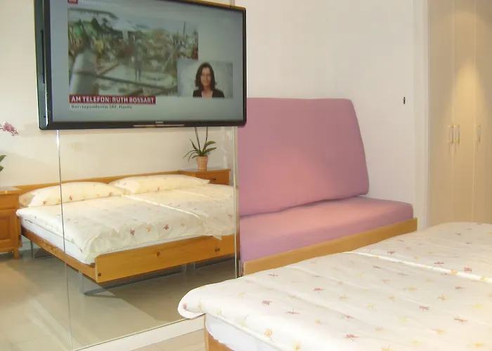 Vandrarhem Vista Zweisimmen