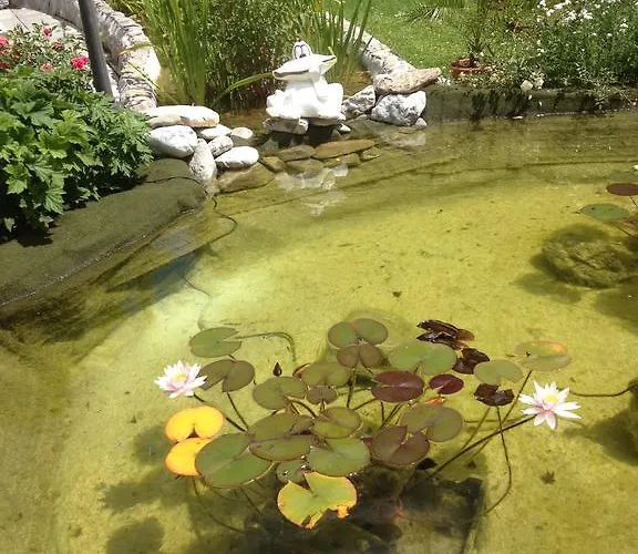 비스타 * 츠바이지멘