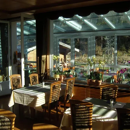 Hostel Vista Zweisimmen