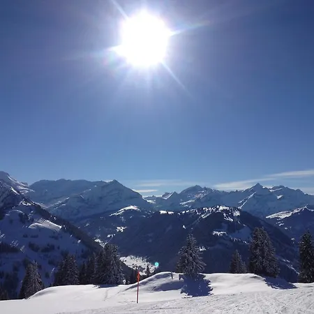 Vista Zweisimmen